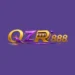 QZR888 Pakistani gaming platform review featuring casino-style games on mobile